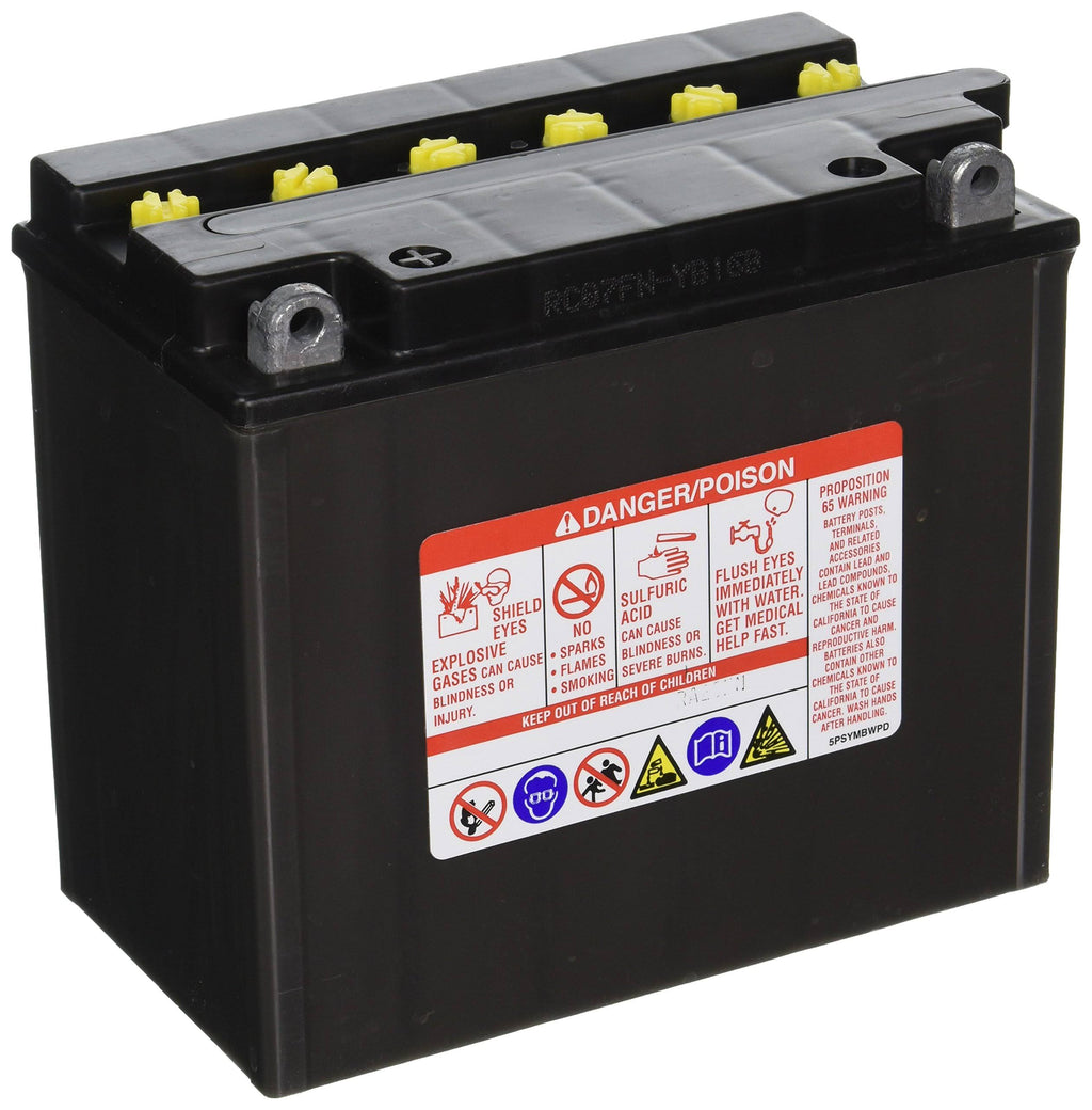 Battery D6974