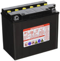 Battery D6974