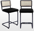 Rattan Counter Height Stools Set of 2 24'' Faux Leather E621