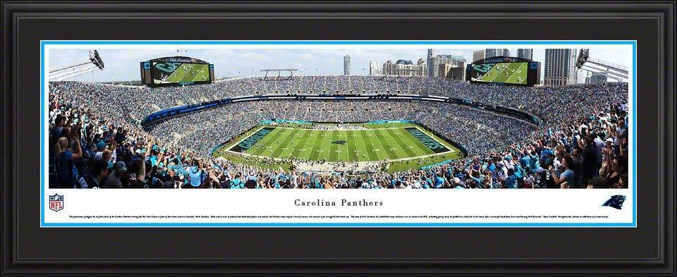 Framed Panoramic Pictures B970