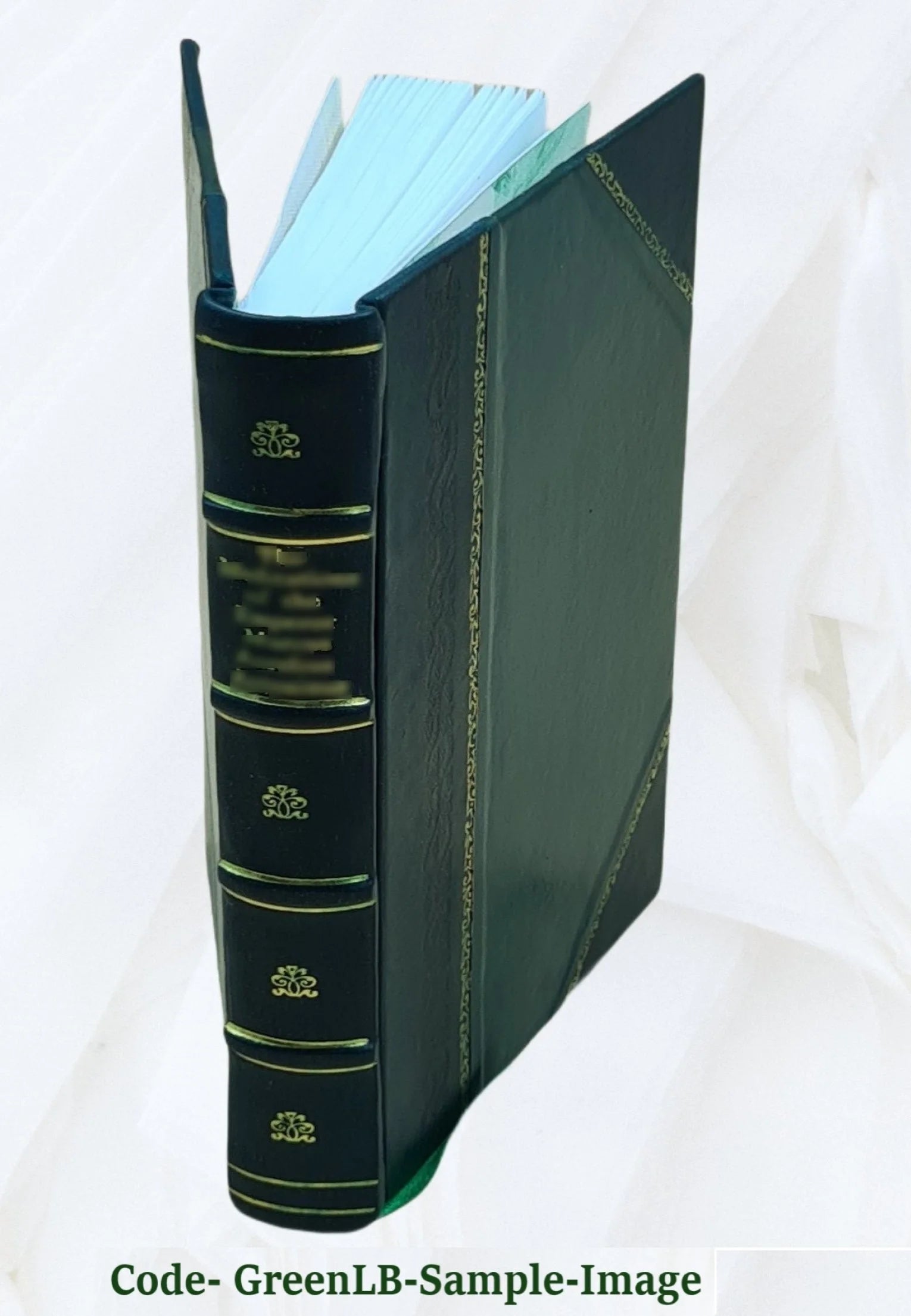 Leather Bound Book C580661