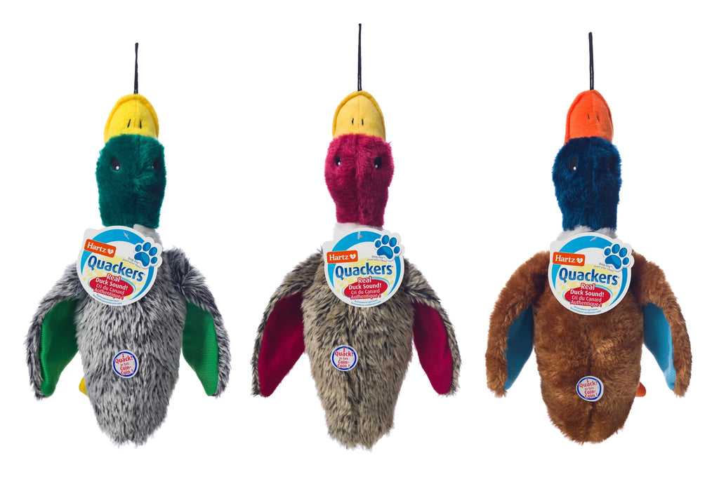 Plush Duck Dog Toy M519120