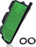 Air Filter Pack of 2 G440