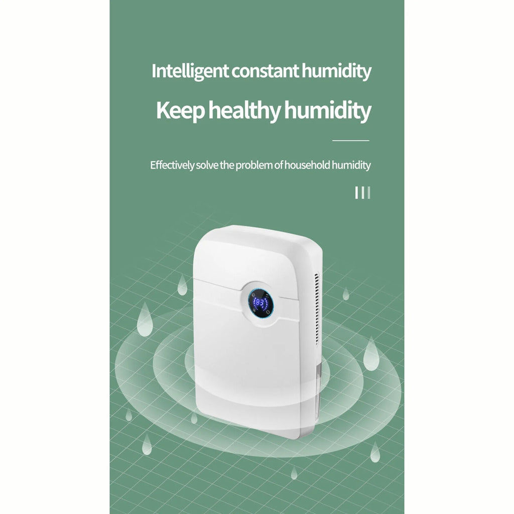 2.5L Dehumidifier Y6603