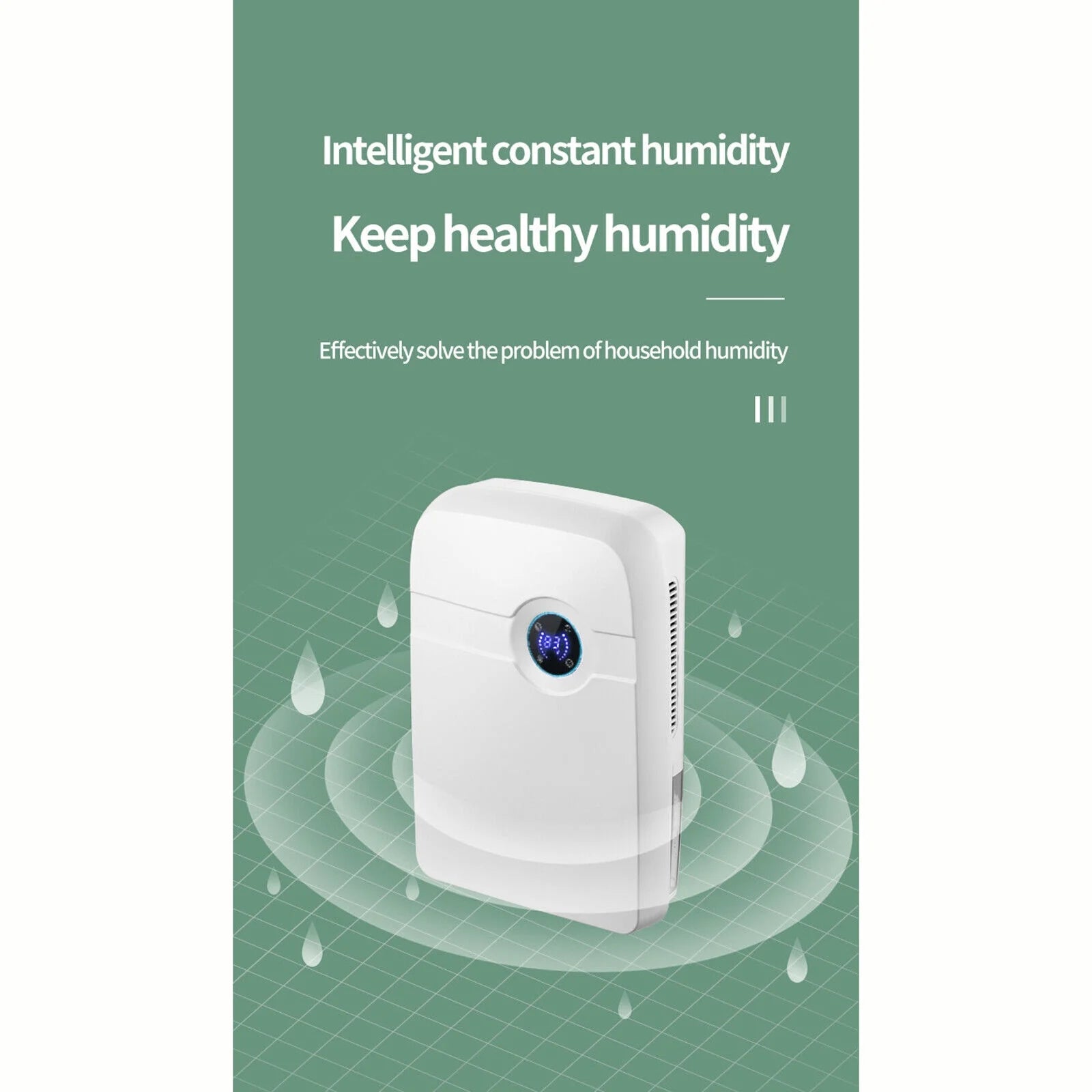 2.5L Dehumidifier Y6603