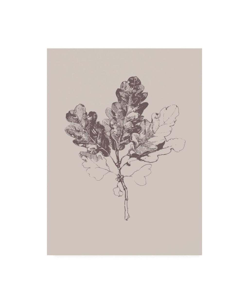 Botanica 3 Art Print D68379