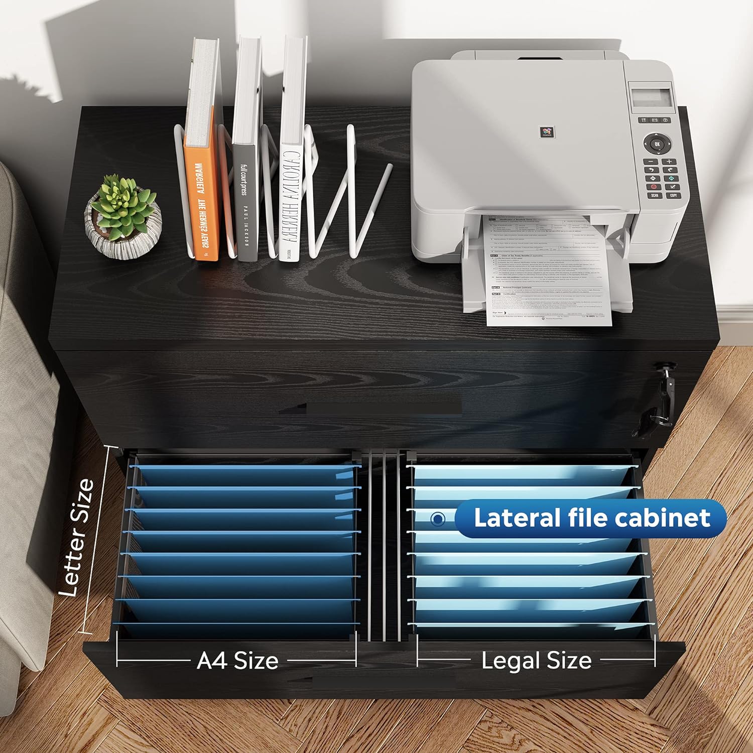 2-Drawer Wood Lateral File Cabinet with Lock, Black L181