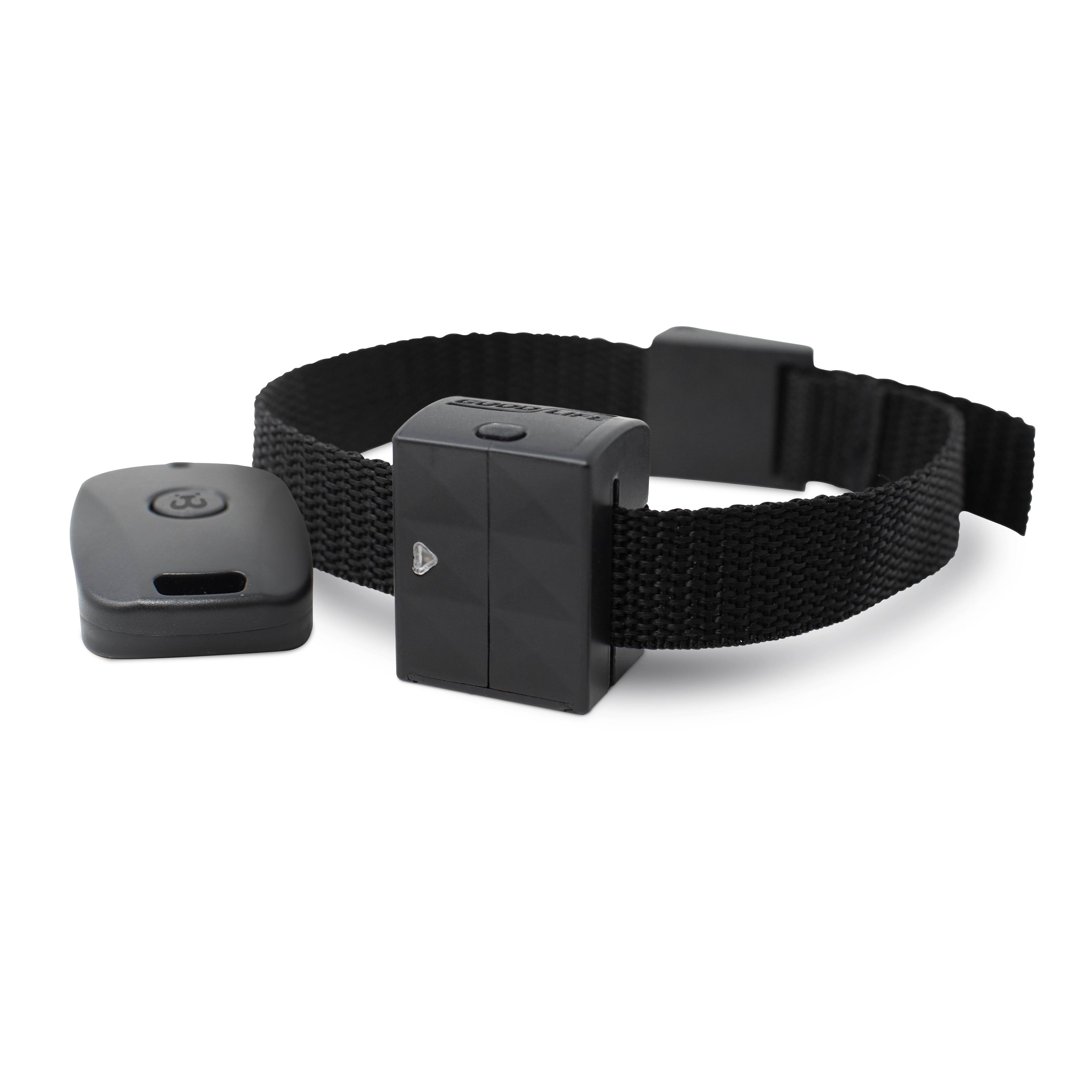 Cat Training Collar K9851
