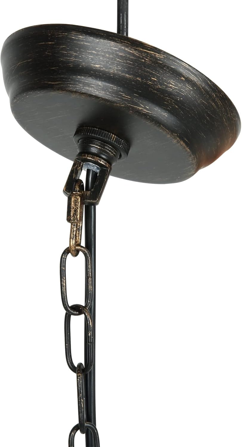 6 Light Farmhouse Chandelier with Globe Light Fixture Y469751