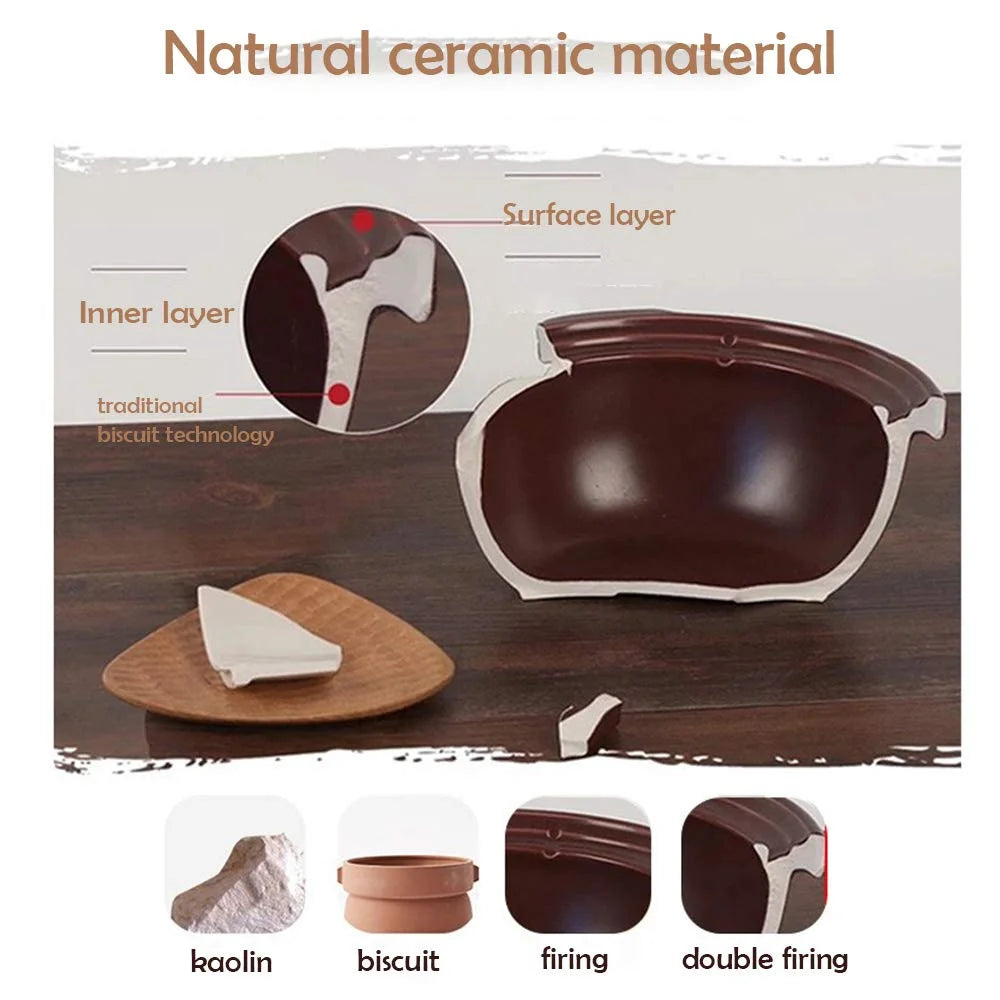 3L Ceramic Electric Claypot Rice Cooker E4575
