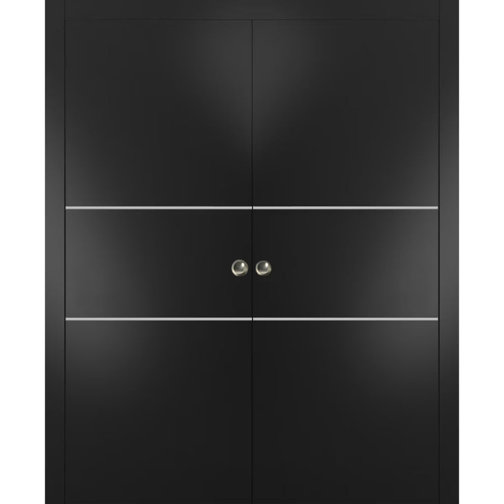 Matte Black Sliding French Double Pocket Doors with Frosted Glass, Solid Wood Interior Doors A8260