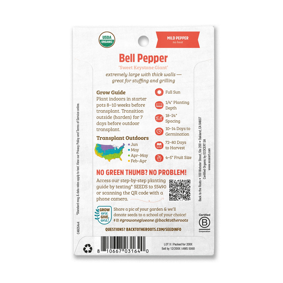 Organic Sweet Keystone Giant Bell Pepper Seeds, 1 Seed Packet D9656
