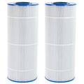 Pool Filter Cartridge V613402