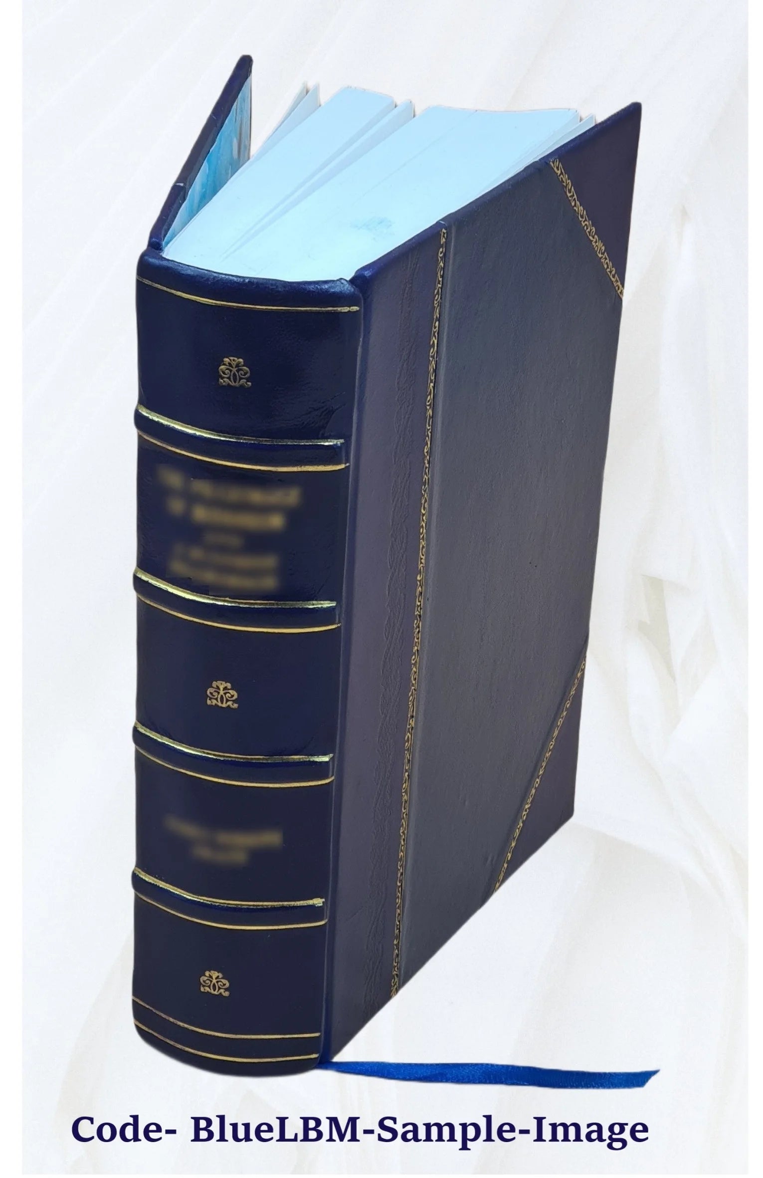 Leather Bound Book Q11231