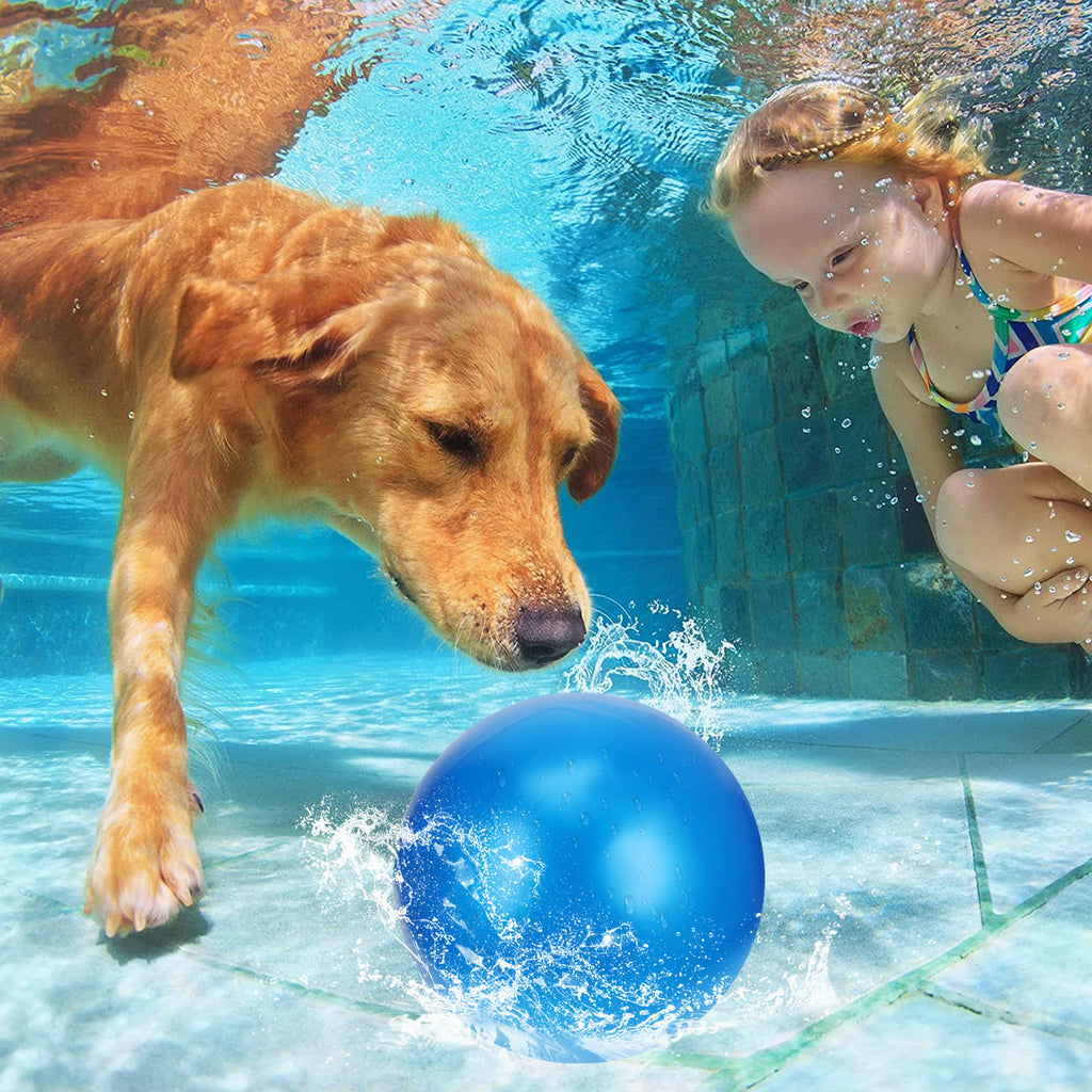 Inflatable Plastic PVC Swimming Beach Ball L107319