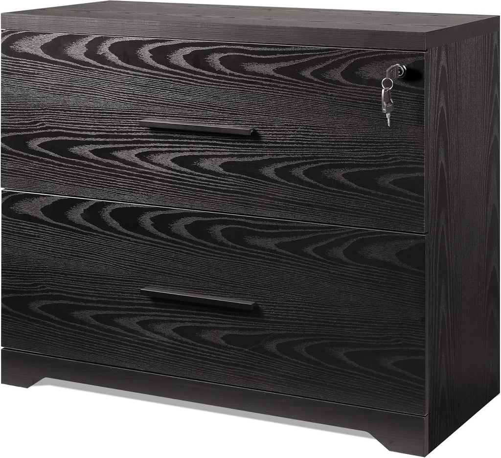 2-Drawer Wood Lateral File Cabinet with Lock, Black L181