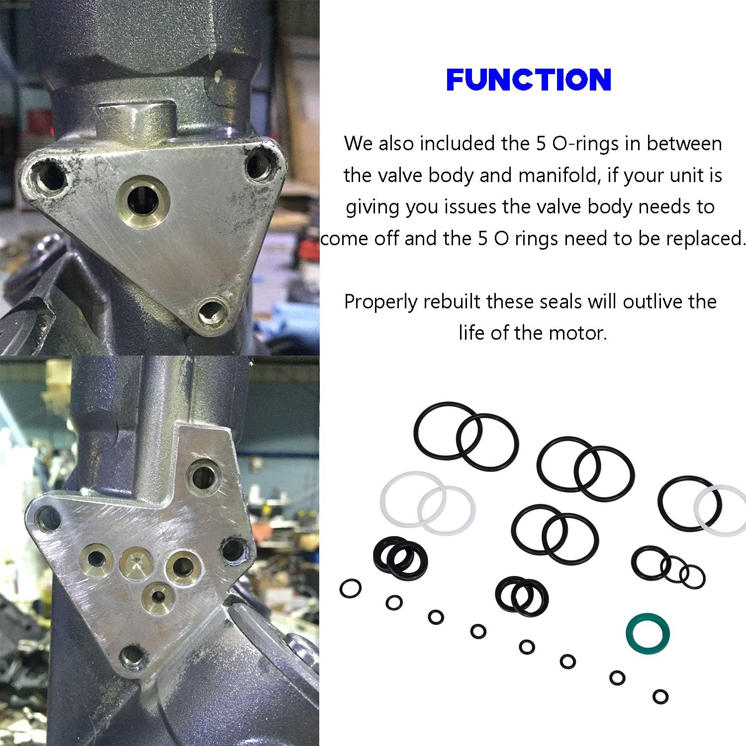 Trim/Tilt Pin Wrench and Seal Kit for Yamaha Showa, Suzuki, Honda X541588