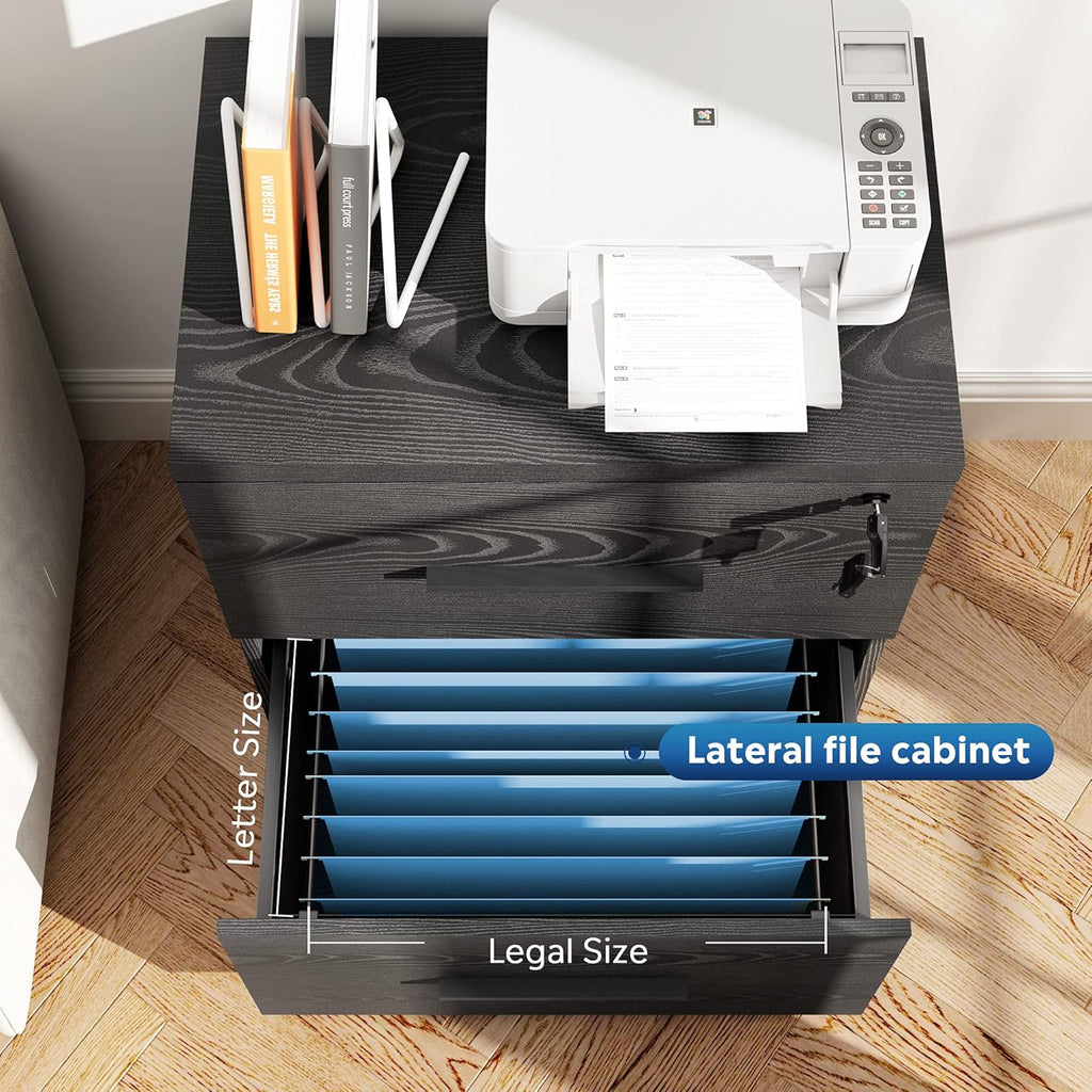 2-Drawer Wood Lateral File Cabinet with Lock, Black L181