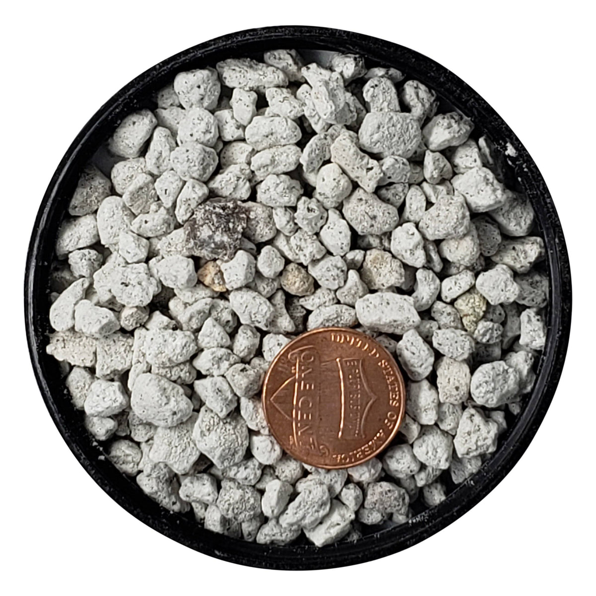 Bonsai Pumice Soil, 13 Liters / 5mm Z549