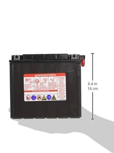 Battery D6974
