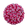 Deep Purple Roses (50 Stems) E36948