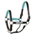 Padded Leather Halter with Nameplate B502533