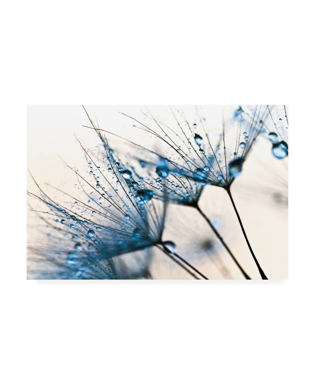 Mystic Blue Canvas Art W326