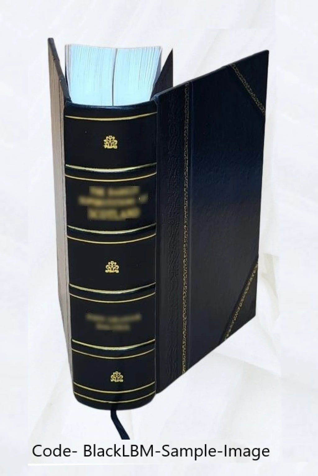 Leather Bound Book Q11231