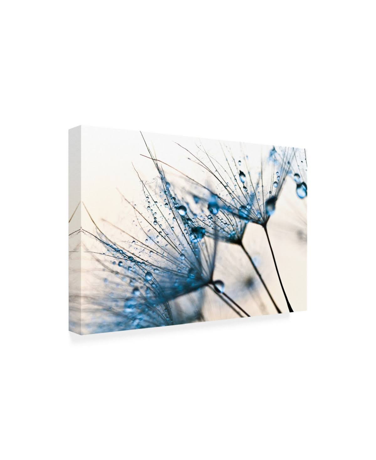 Mystic Blue Canvas Art W326