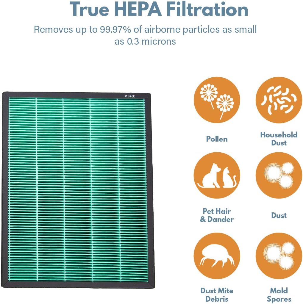 HEPA Carbon Replacement Filter Set for Coway Airmega 400 Air Purifier, 2 Pack I703
