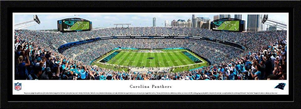 Framed Panoramic Pictures B970