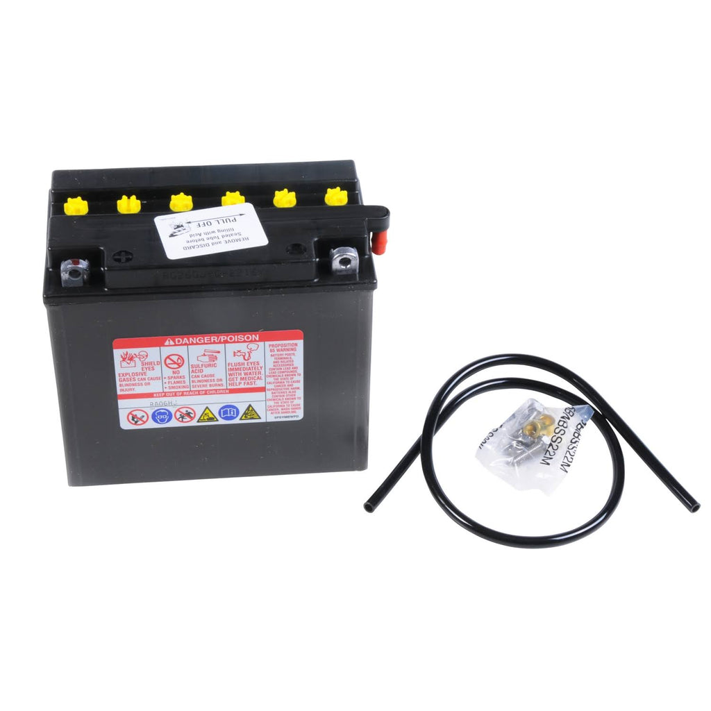 Battery D6974