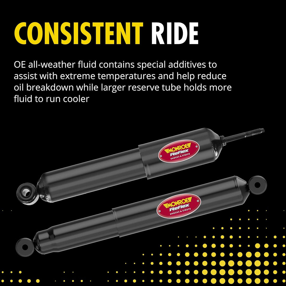 Shock Absorber Pack of 2 B21267