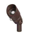 LED Flood Light N420