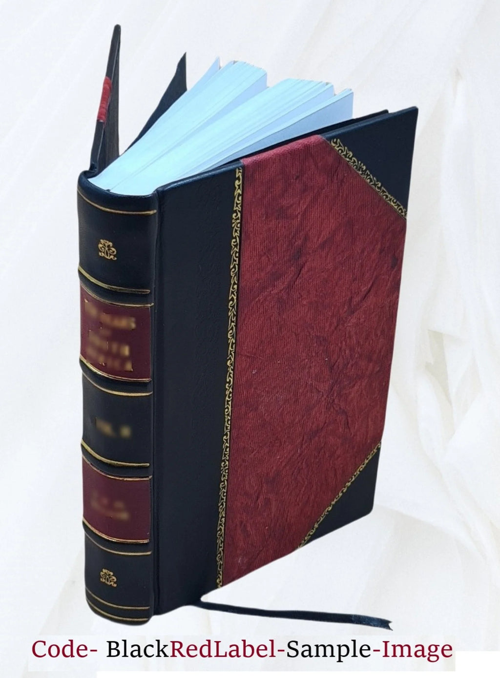 Leather Bound Book C580661