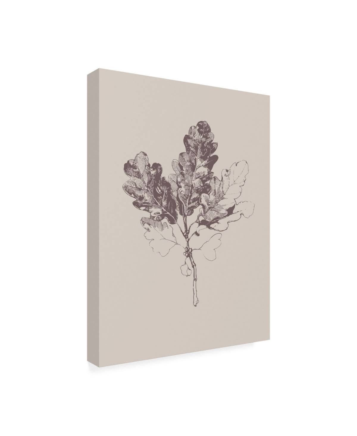 Botanica 3 Art Print D68379